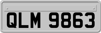 QLM9863