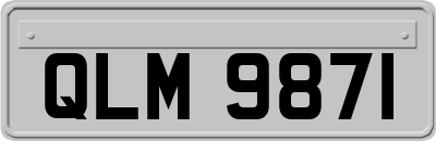 QLM9871