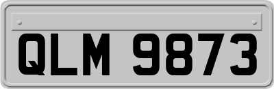 QLM9873