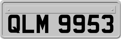 QLM9953