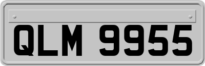 QLM9955