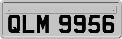 QLM9956