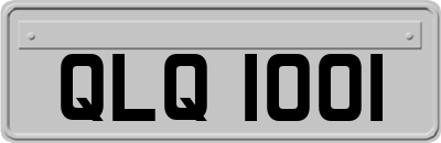 QLQ1001