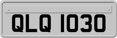 QLQ1030