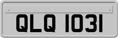 QLQ1031
