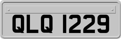 QLQ1229