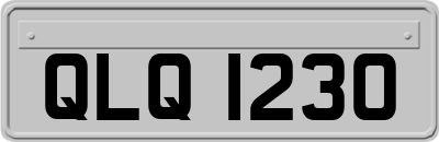 QLQ1230
