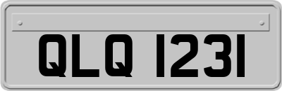 QLQ1231