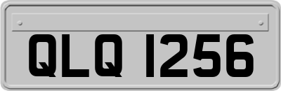 QLQ1256