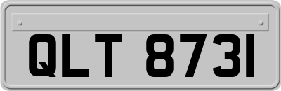 QLT8731