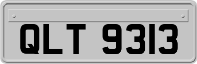 QLT9313