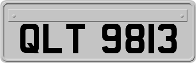 QLT9813