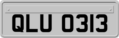 QLU0313