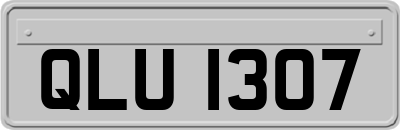 QLU1307