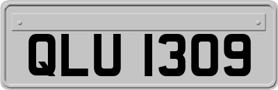 QLU1309