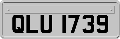 QLU1739