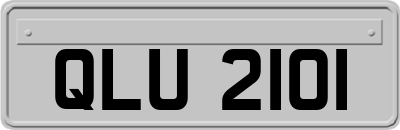 QLU2101