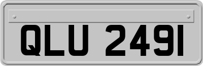 QLU2491