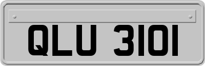 QLU3101