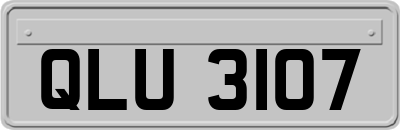 QLU3107