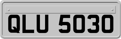 QLU5030