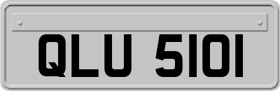 QLU5101