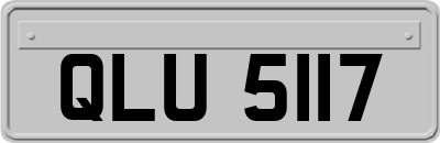 QLU5117