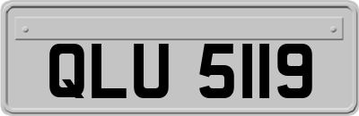 QLU5119