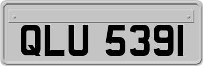 QLU5391