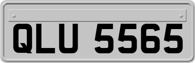 QLU5565