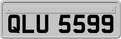 QLU5599