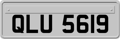 QLU5619