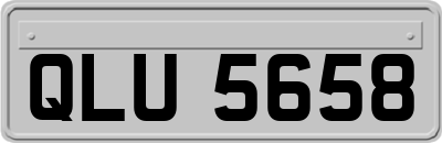 QLU5658