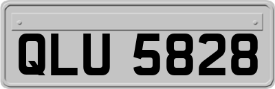 QLU5828