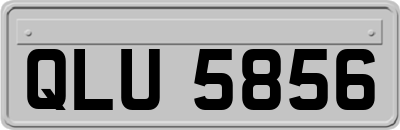 QLU5856