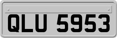 QLU5953