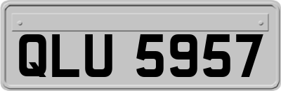 QLU5957