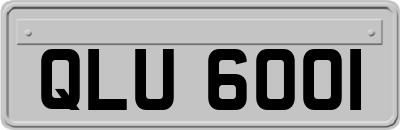 QLU6001