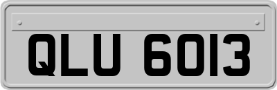 QLU6013