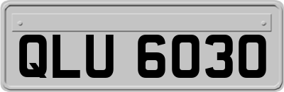 QLU6030