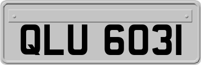 QLU6031