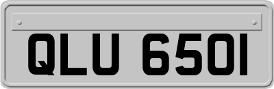 QLU6501