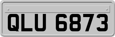 QLU6873