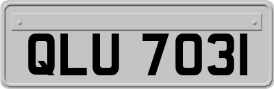 QLU7031