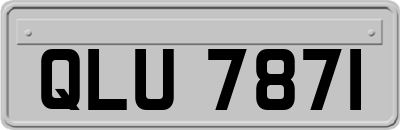 QLU7871