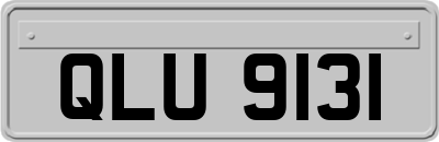 QLU9131