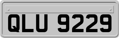 QLU9229