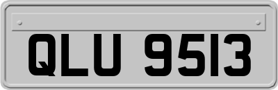 QLU9513