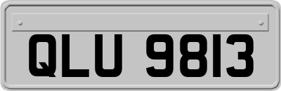 QLU9813