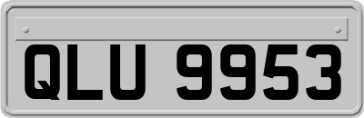 QLU9953